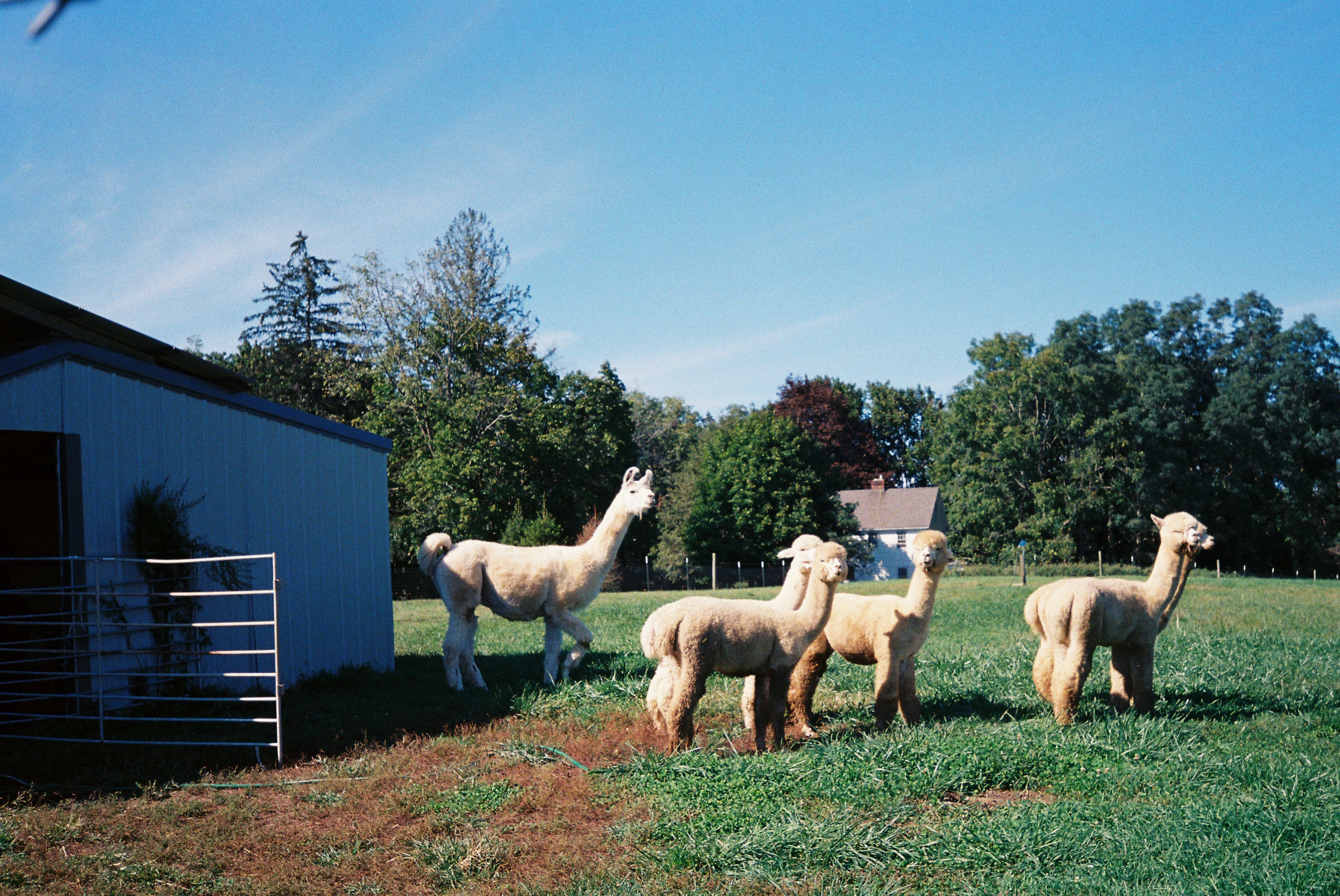 Carbon Farm Tour