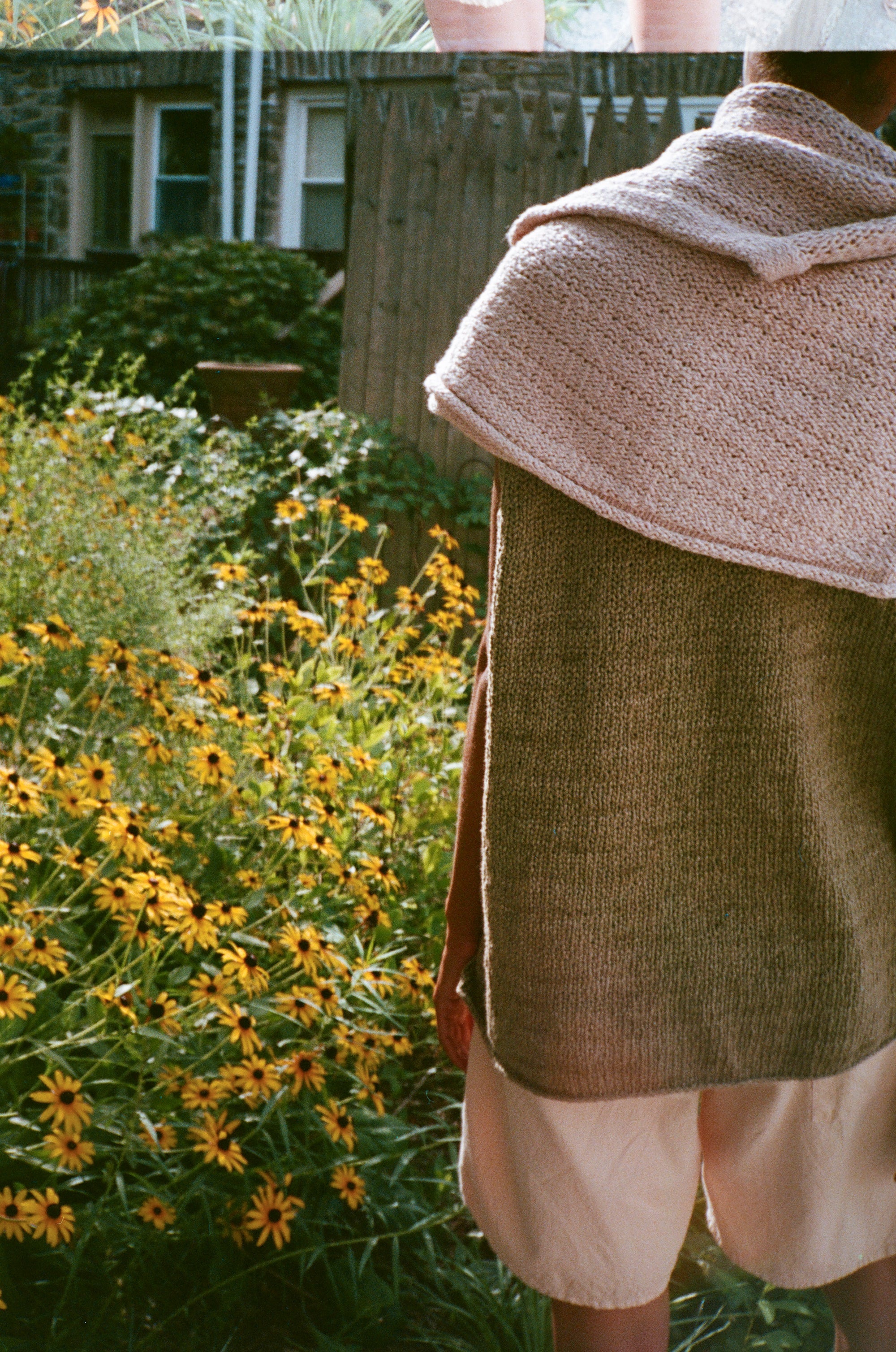 Botanical Dye